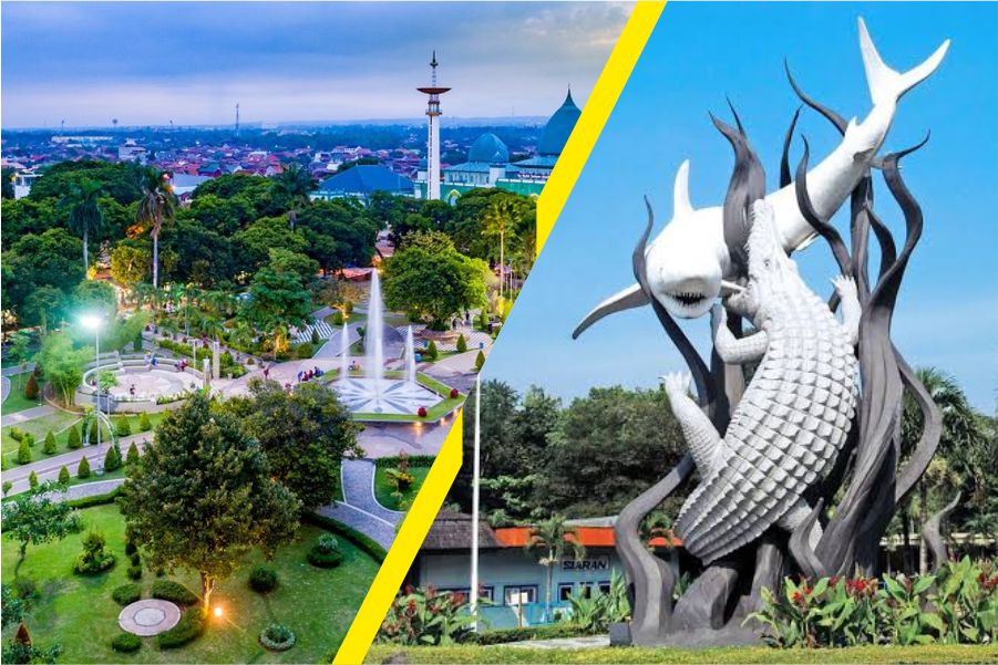 Banyuwangi - Surabaya PP